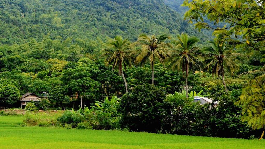 Mai Chau Villas Ngoại thất bức ảnh