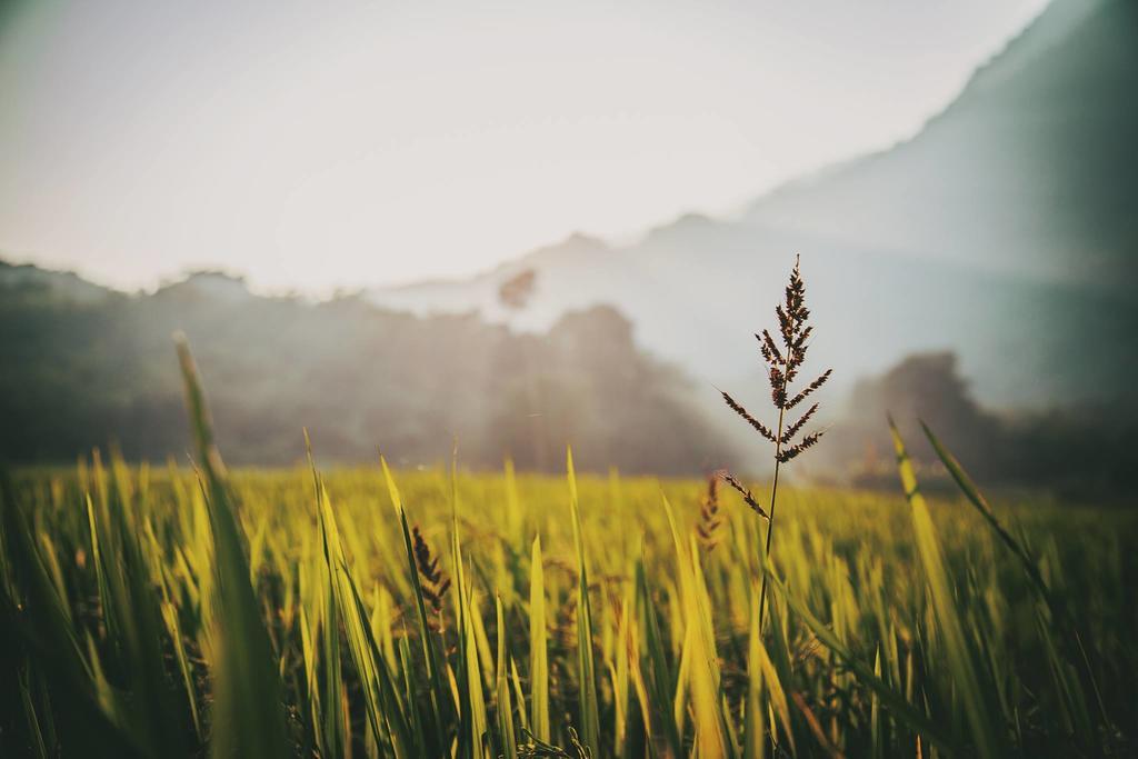 Mai Chau Villas Ngoại thất bức ảnh