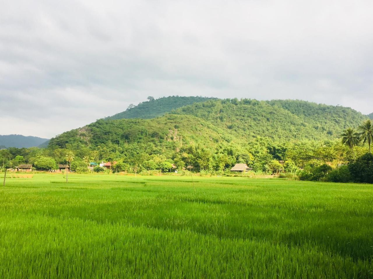 Mai Chau Villas Ngoại thất bức ảnh