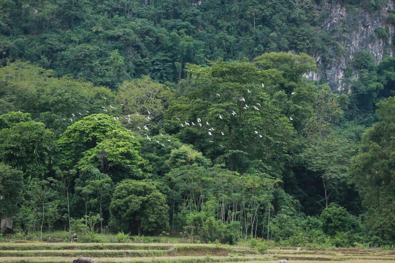 Mai Chau Villas Ngoại thất bức ảnh